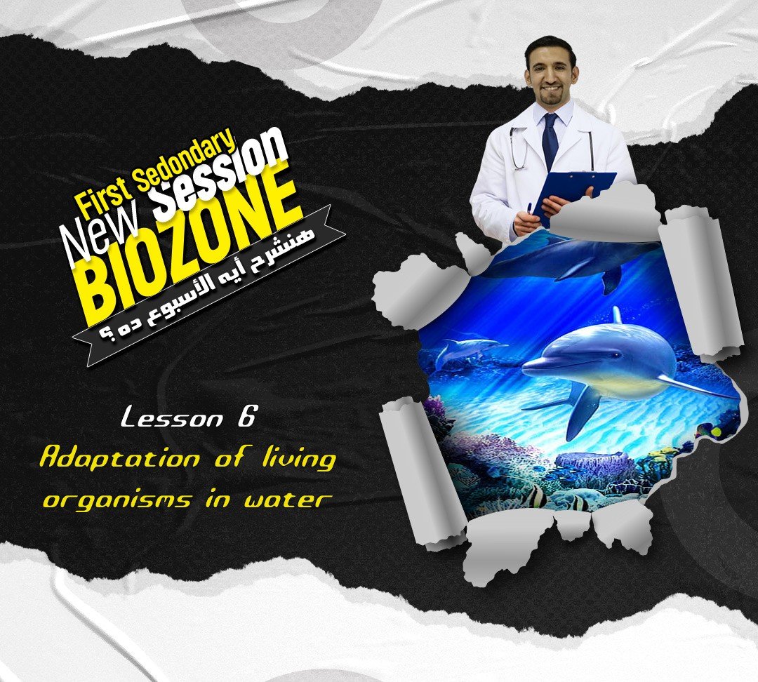 الدرس السادس - الواجب